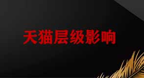 天貓店鋪層級(jí)