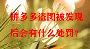 拼多多盜圖被發(fā)現(xiàn)后會(huì)有什么處罰