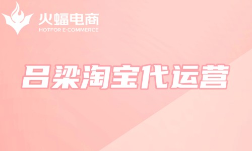 呂梁淘寶代運(yùn)營(yíng)