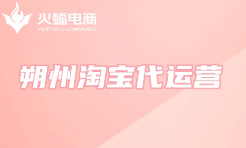 朔州淘寶代運(yùn)營